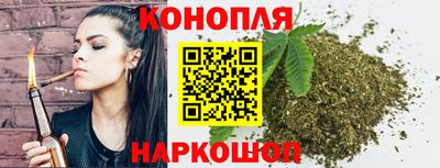 дживик Ачхой-Мартан