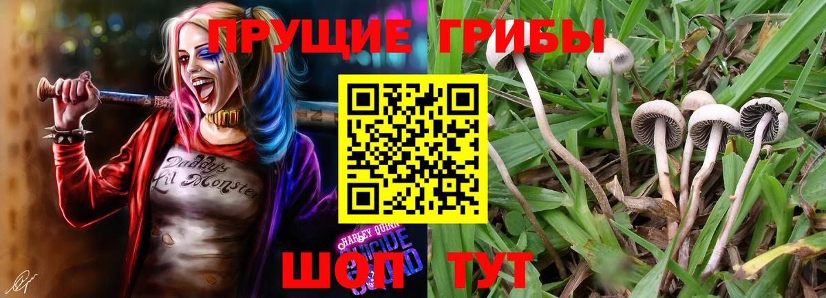 Галлюциногенные грибы ЛСД  Псилоцибиновые грибы прущие грибы  Вход с VPN  где можно купить   Кинель 